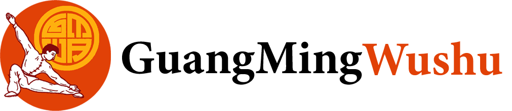 testamsterdamwushu
